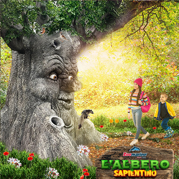 ALBERO SAPIENTINO